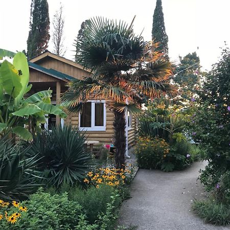 Гостевой Дом "Сария" Hotel Alakhadzi Kültér fotó