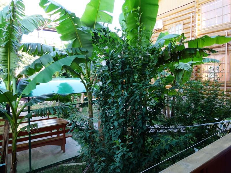 Гостевой Дом "Сария" Hotel Alakhadzi Kültér fotó