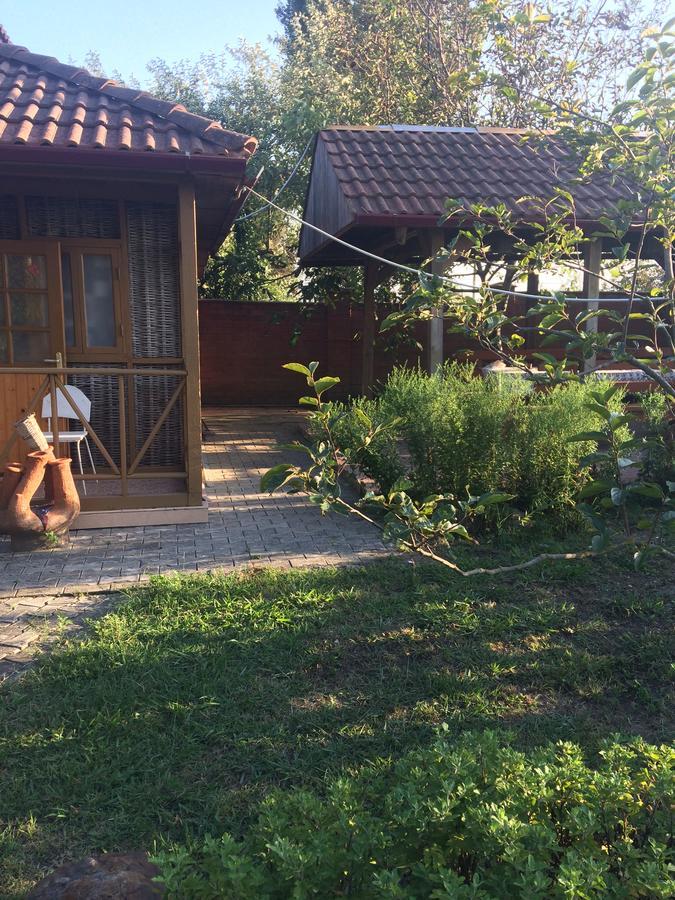 Гостевой Дом "Сария" Hotel Alakhadzi Kültér fotó