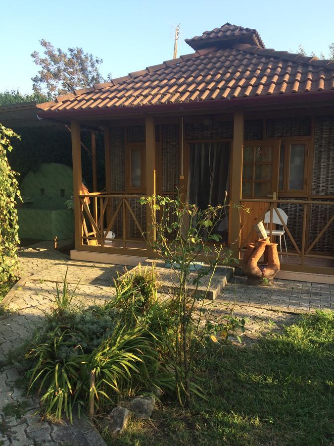 Гостевой Дом "Сария" Hotel Alakhadzi Kültér fotó