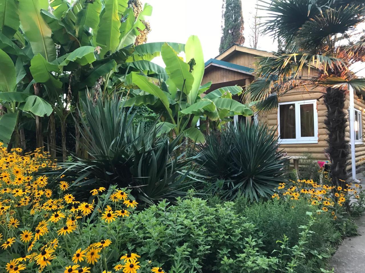 Гостевой Дом "Сария" Hotel Alakhadzi Kültér fotó