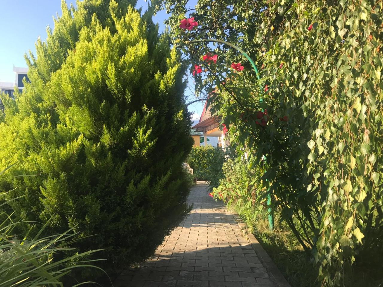 Гостевой Дом "Сария" Hotel Alakhadzi Kültér fotó